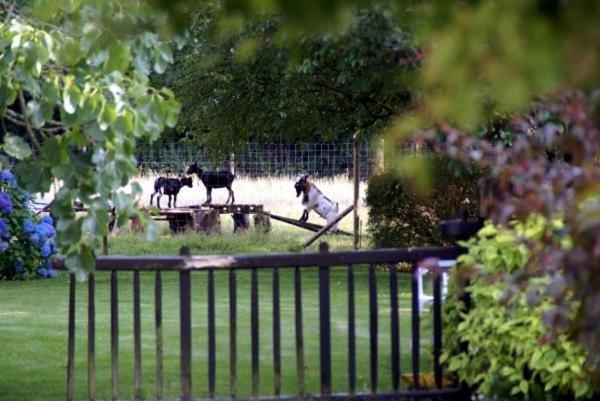 Les Pieds Dans L'Herbe Rosporden Exterior foto