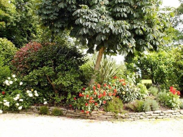 Les Pieds Dans L'Herbe Rosporden Exterior foto